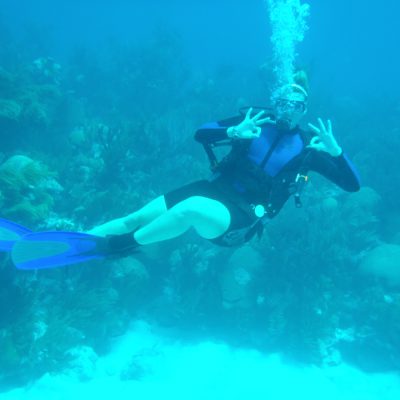 Diving in Bermud